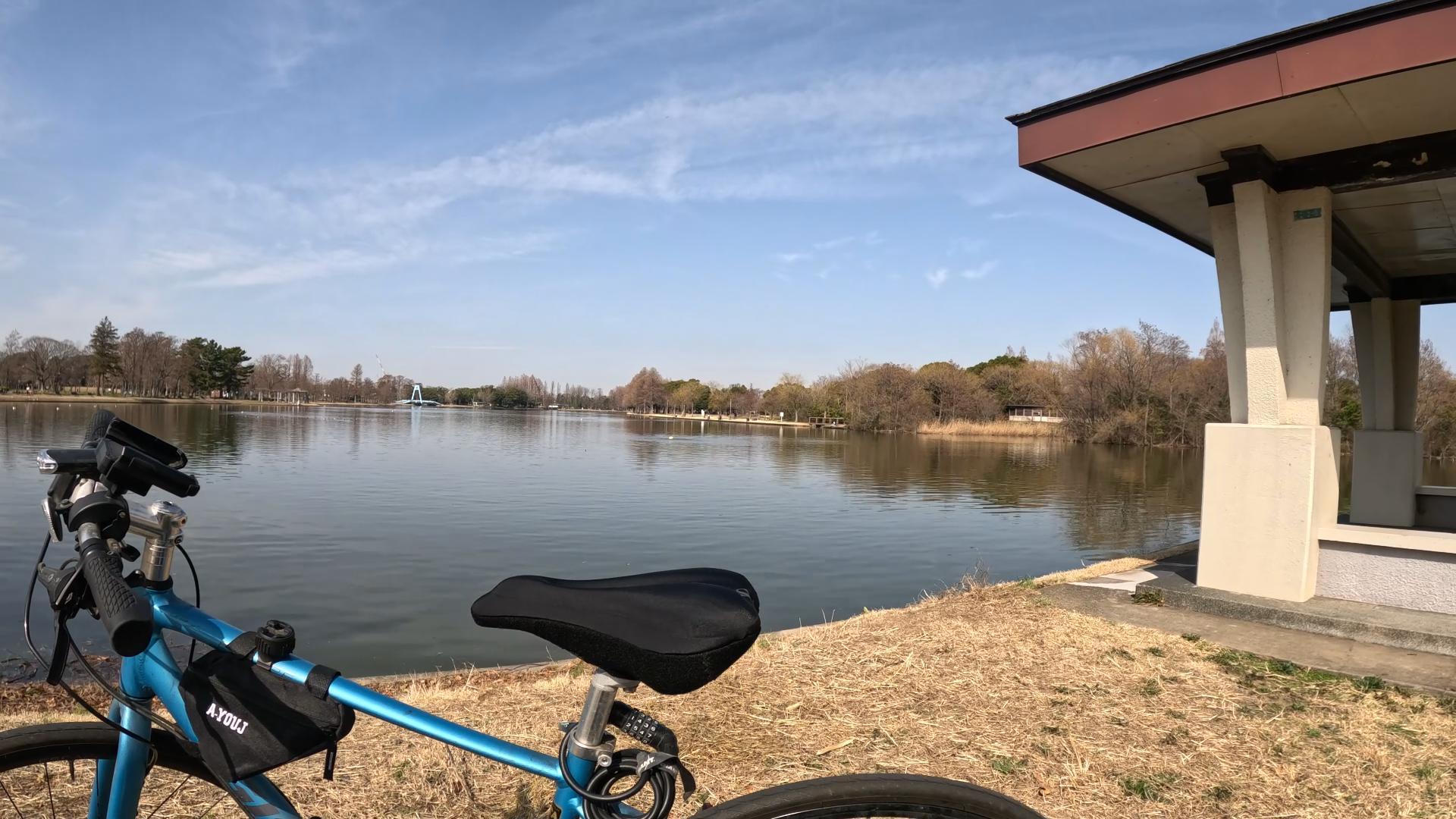 水元公園サイクリング🚴‍♂️