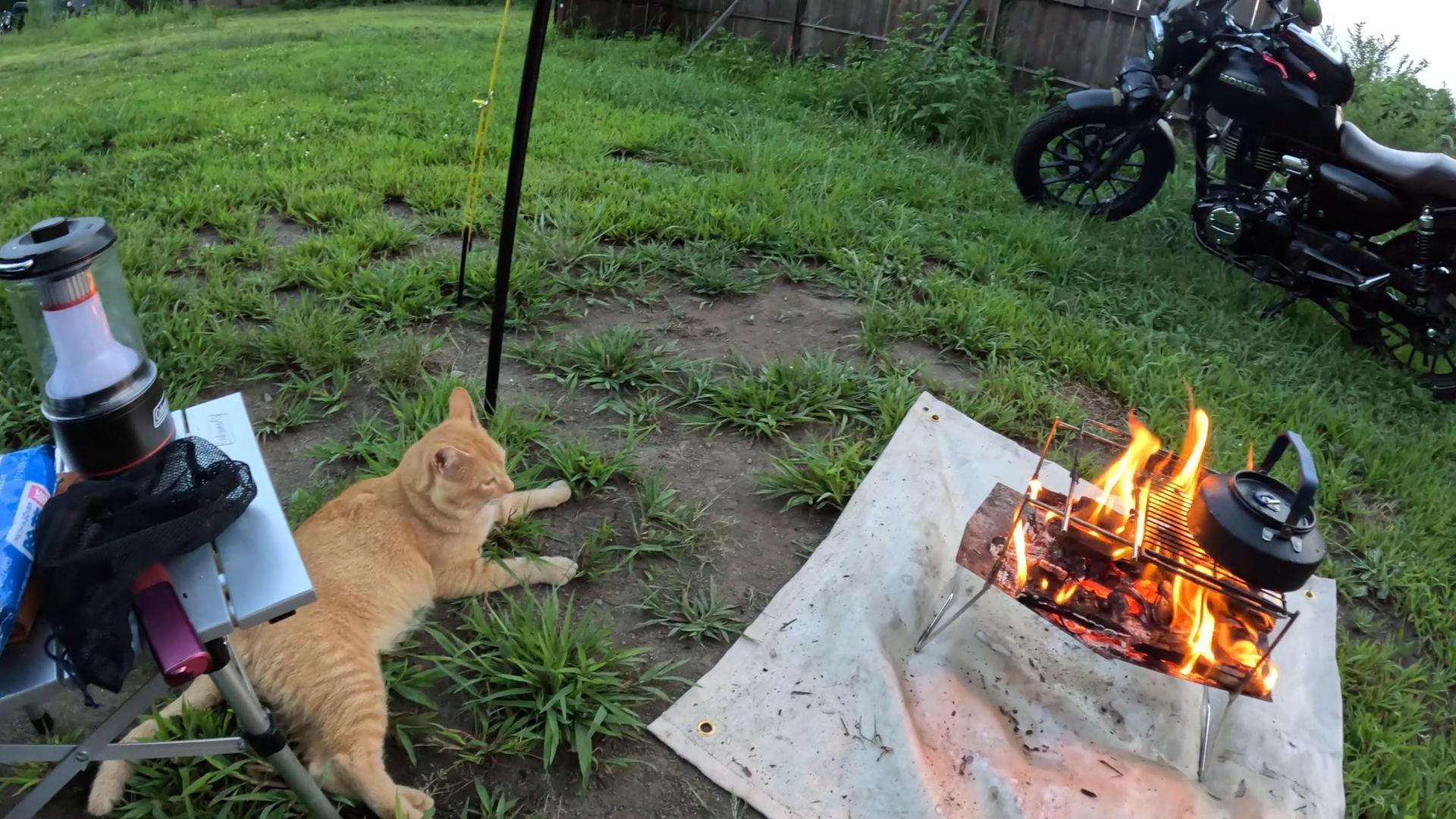 キャンプベース安中榛名⛺️