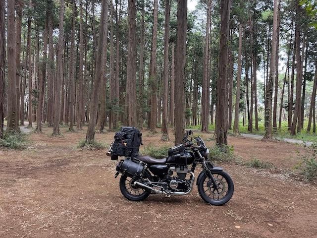 &GREEN龍ケ崎🏕️